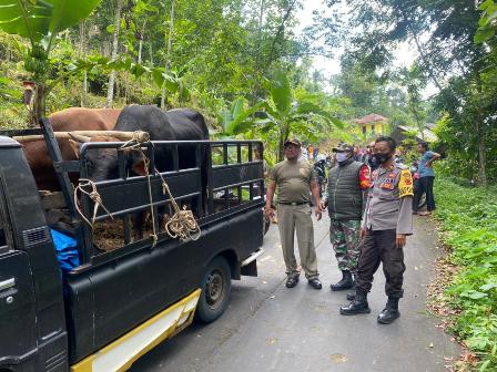 Wow, Ada Limosin Dicuri di Kuningan