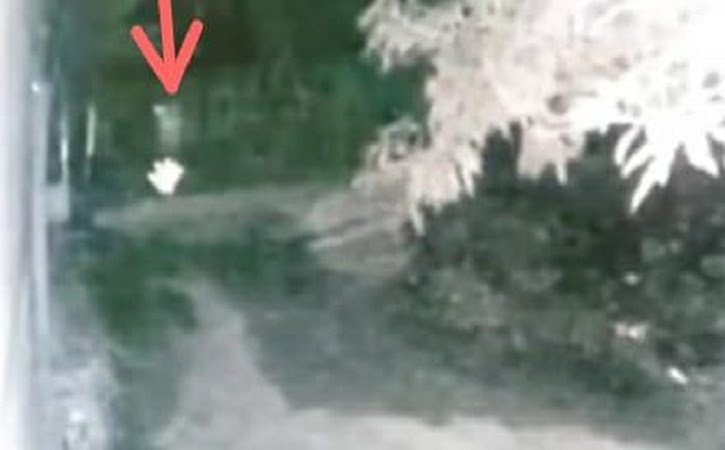 Heboh Pocong Dikejar Anjing Terekam CCTV