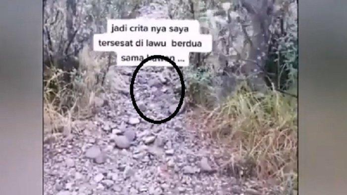 Pendaki Tersesat di Gunung, Selamat karena Dituntun Sesosok Burung