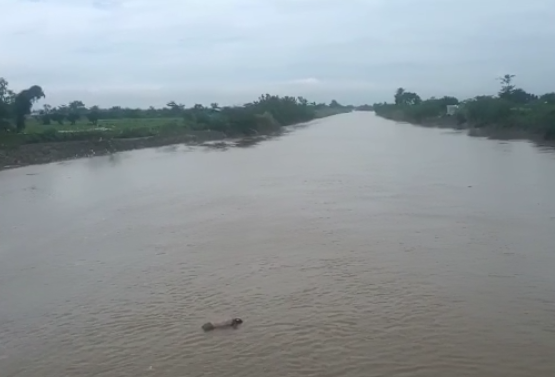 Warga Tawangsari Digegerkan Penemuan Jenazah di Sungai Cisanggarung
