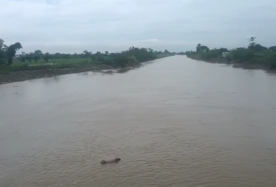 Ada KTP di Jenazah yang Hanyut di Sungai Cisanggarung, Atas Nama Ini