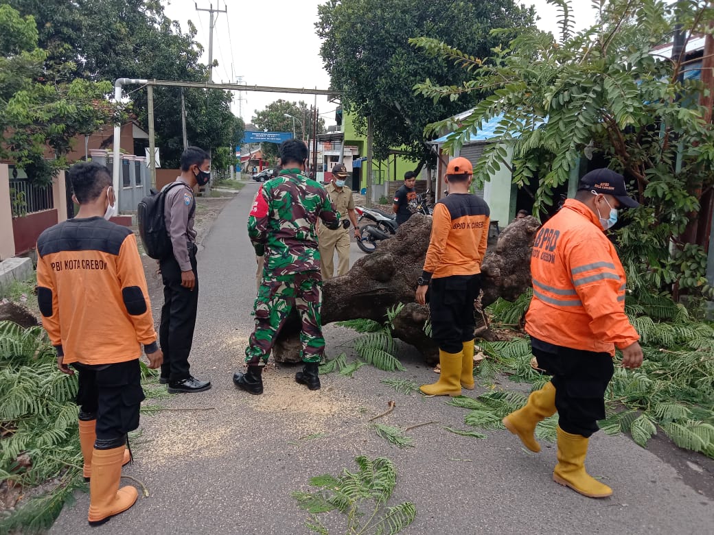 KPBD Evakuasi Pohon Tumbang di Jalan Sekarkemuning
