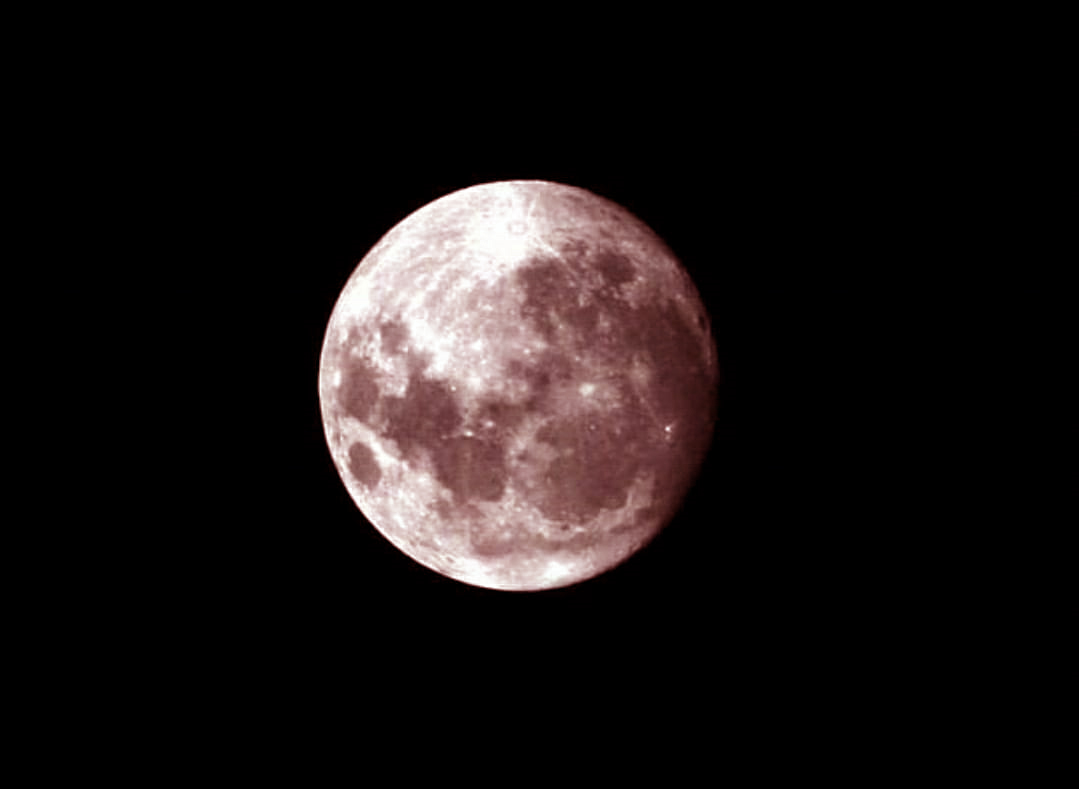 Jarak Bumi dan Bulan Mendekat, Malam Ini Ada Fenomena Langka Pink Supermoon