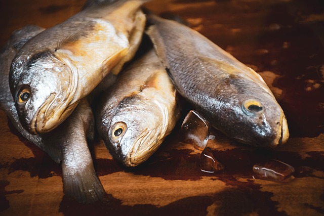 Jenis-Jenis Ikan yang Bisa Menunda Lapar, Cocok Dikonsumsi Saat Sahur
