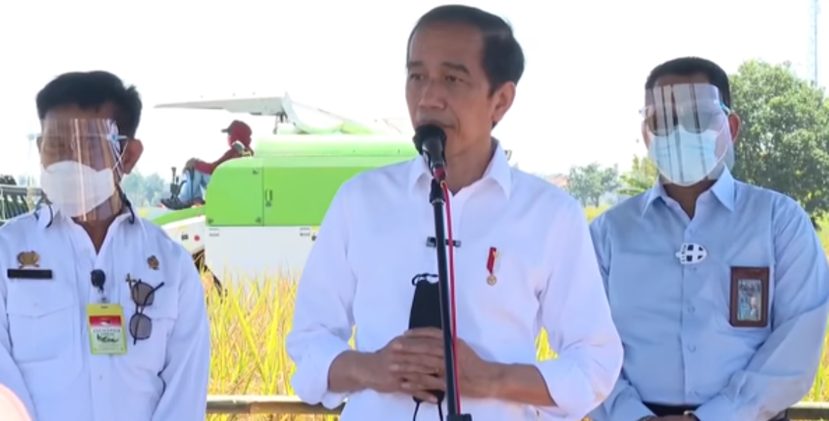 Jokowi Janji Tak Ada Impor Beras Sampai Akhir Tahun, Tapi…