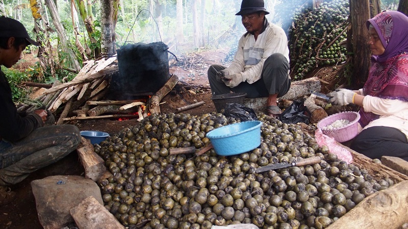 Bentar Lagi Puasa, Suka Kolang-kaling? Pembuatnya dari Desa Ini