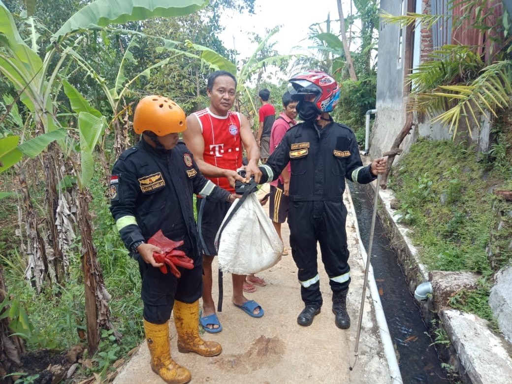 Petugas Damkar Kuningan Evakuasi Monyet Korban Penyiksaan