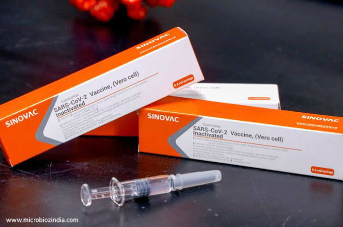 Hasil Riset: Vaksin Sinovac Hanya Bertahan 6 Bulan, Perlu 1 Suntikan Lagi
