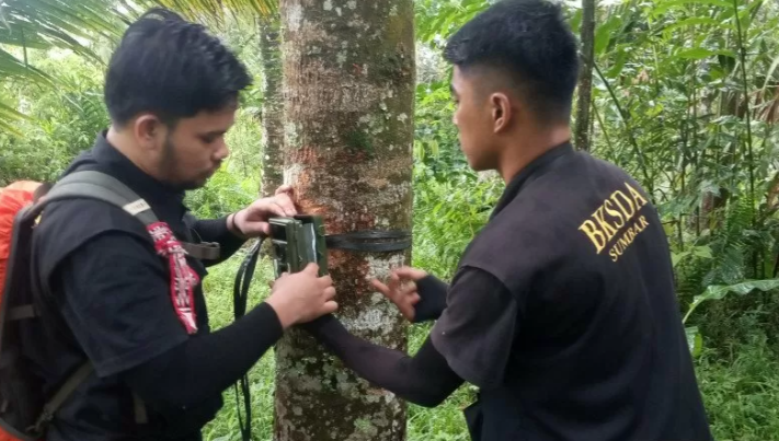 Muncul Mahluk Misterius di Hutan, Tinggi 165 Cm, Badan Hitam dan Berbau Busuk