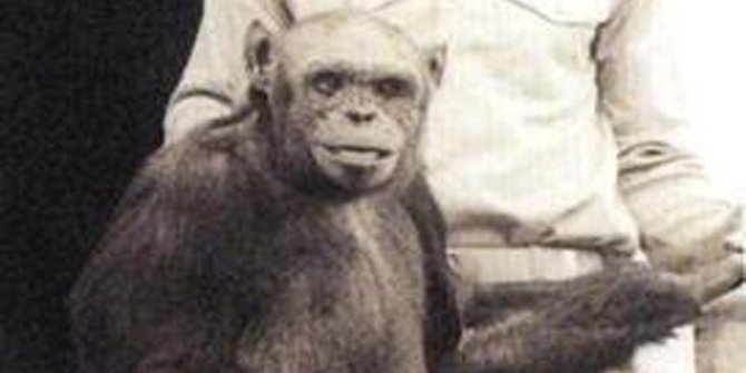 Mengerikan, Ini Hasil Manusia “Kawin Silang” dengan Babi, Monyet dan Simpanse