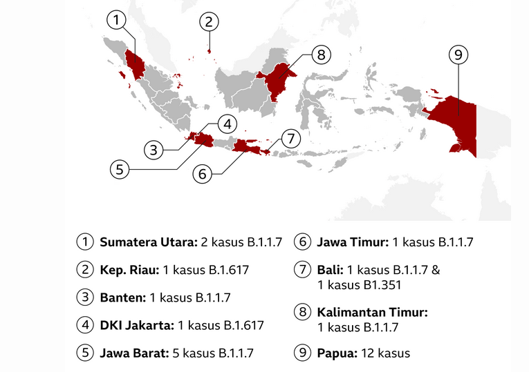 Surati Ganjar, Kominfo India Tersinggung Varian Delta Disebut Biang Keladi Corona Melonjak