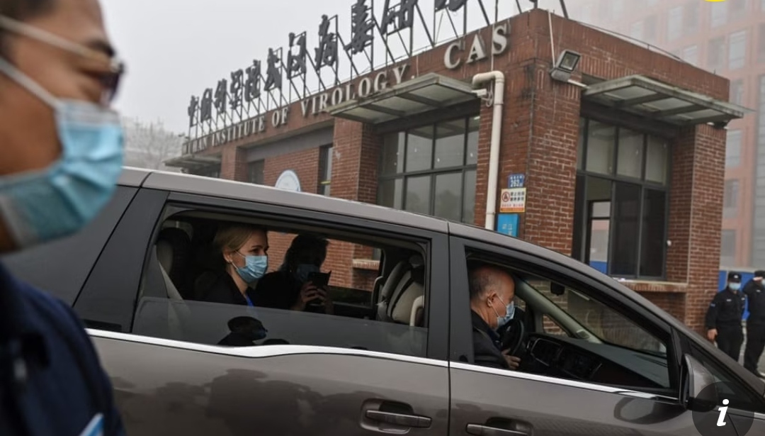 WHO Minta Audit Laboratorium Wuhan Selidiki Asal Usul Virus Corona, China Langsung Menolak