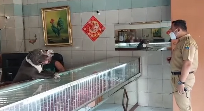 Camat Harjamukti Digonggong Anjing Pitbull saat Sosialisasi PPKM Darurat