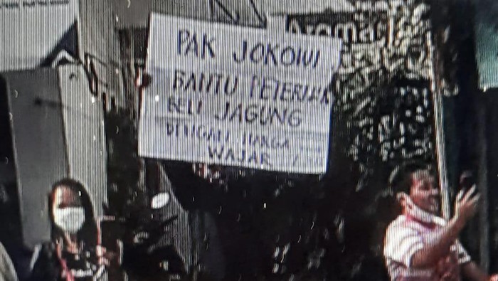 Peternak Bawa Poster Protes dan Diamankan Polisi, Diundang Jokowi ke Istana