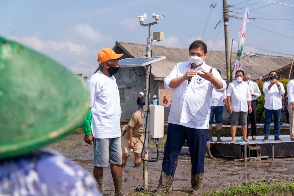 Canggih, Smartfarming Pakai Sensor Cuaca dan Tenaga Surya