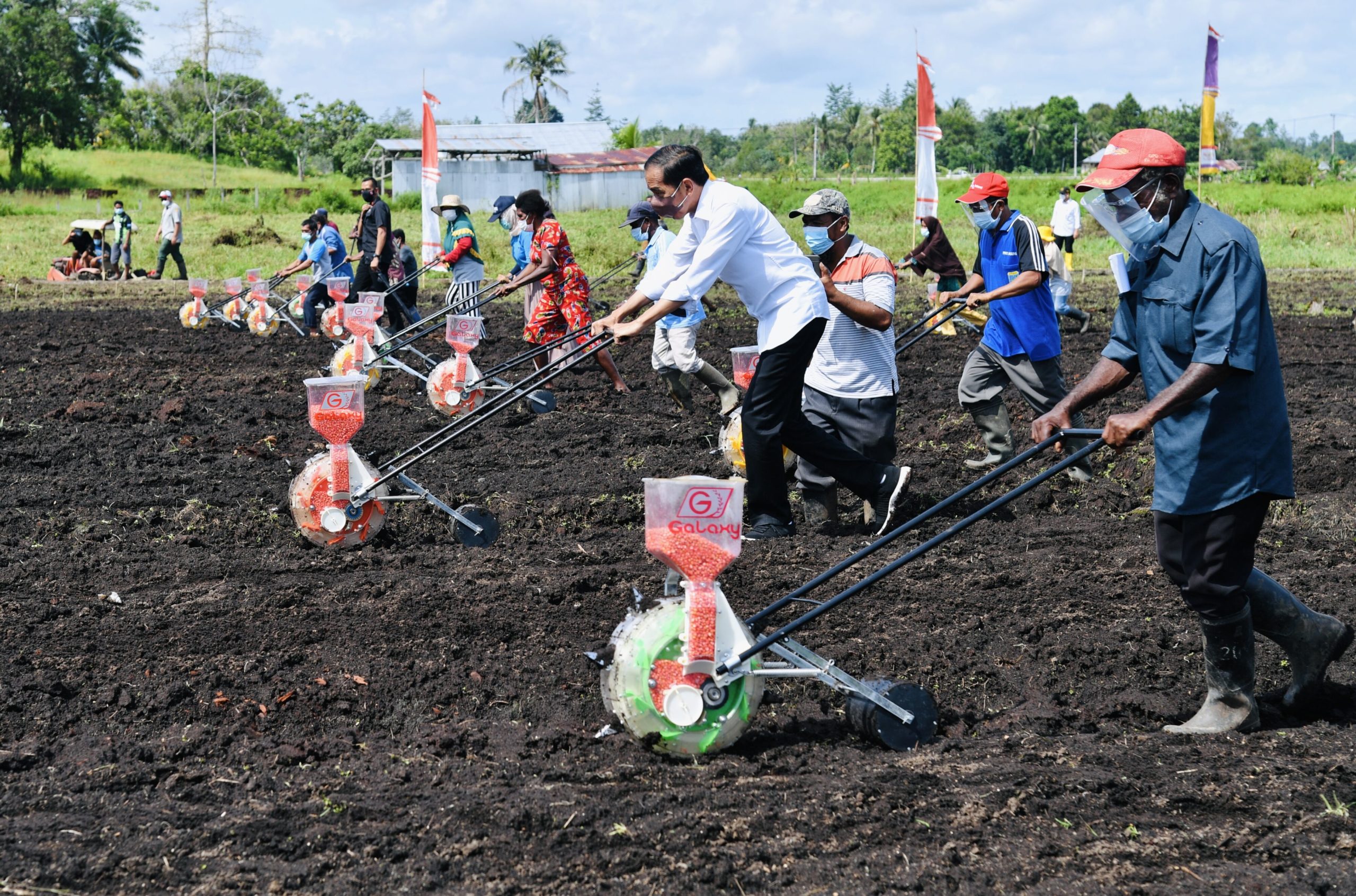 Potensi Besar Pertanian di Papua Barat