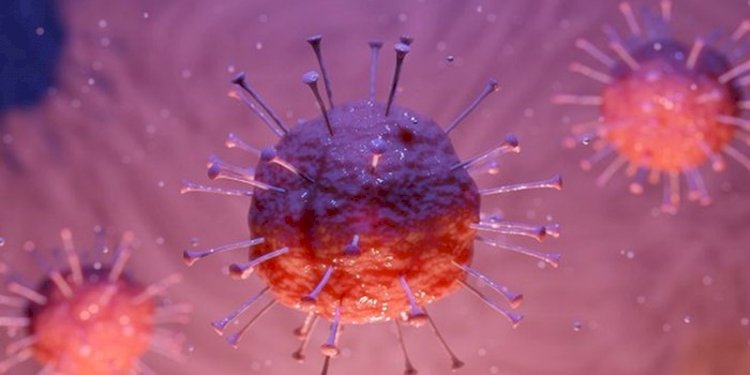 Penulis Studi Baru Peneliti: Usai Covid-19 Dunia akan Diserang Pandemi Flu Parah
