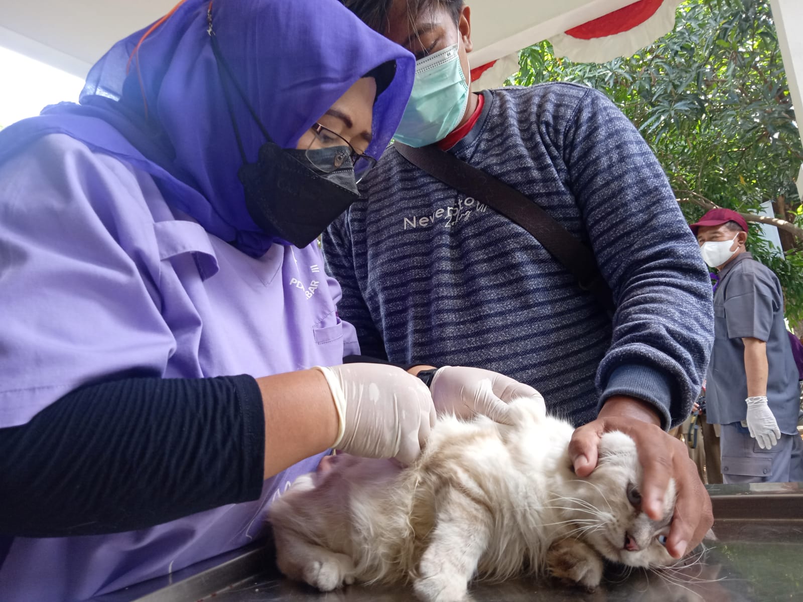 Tidak Hanya Covid-19, Kab Cirebon Pun Gencar Vaksinasi Rabies