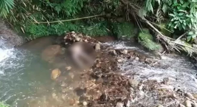 Mayat Pria Tanpa Busana Ngambang di Sungai Ciputri Pamijahan