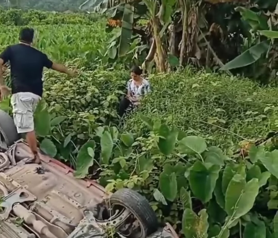 Viral Pasangan Berantem hingga Mobil Tercebur ke Rawa