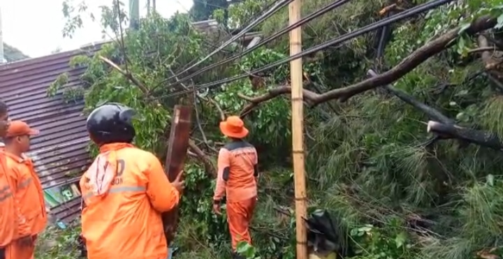 Update: Banyak Pohon Tumbang dan Kabel Listrik Tertimpa Imbas Hujan Angin di Kota Cirebon, Masih Ditangani Pet