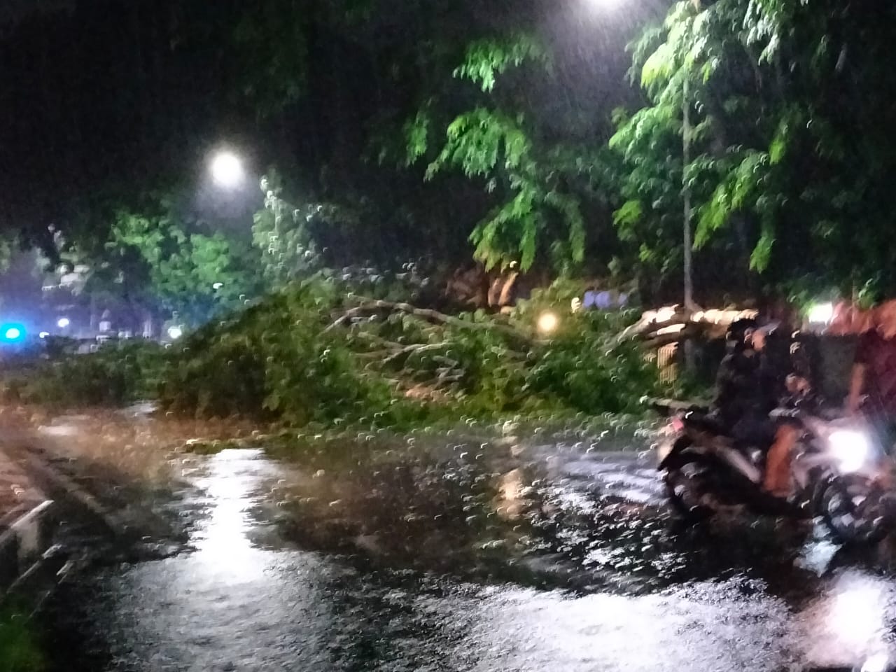 Angin Kencang Kota Cirebon hingga Dini Hari 4 Desember, 16 Pohon Tumbang