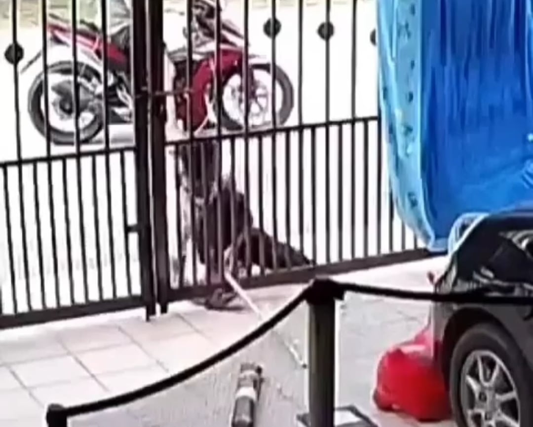 Terekam CCTV, Begini Aksi Pencuri Paket di Rumah Warga