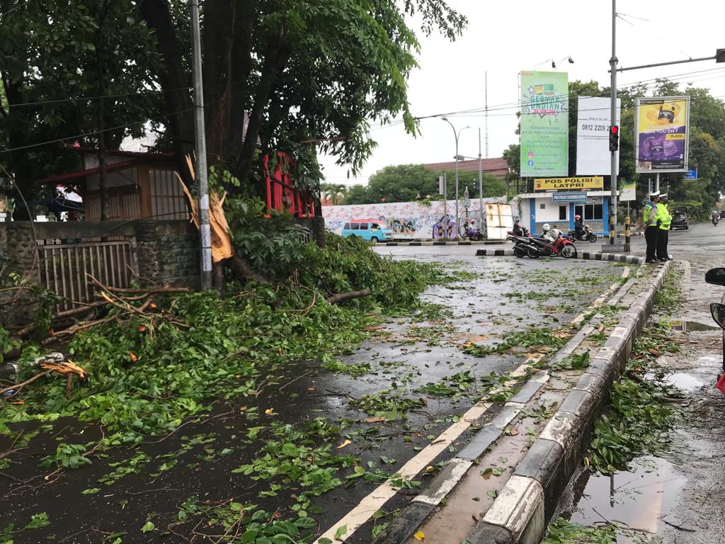 Pohon Tumbang di Jalan Cipto Kota Cirebon Hancurkan Sebuah Warung