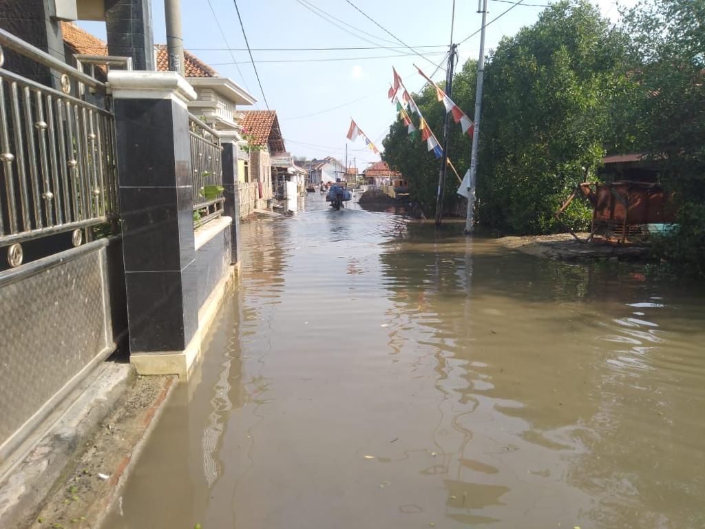 Ratusan Rumah Terendam Banjir Rob