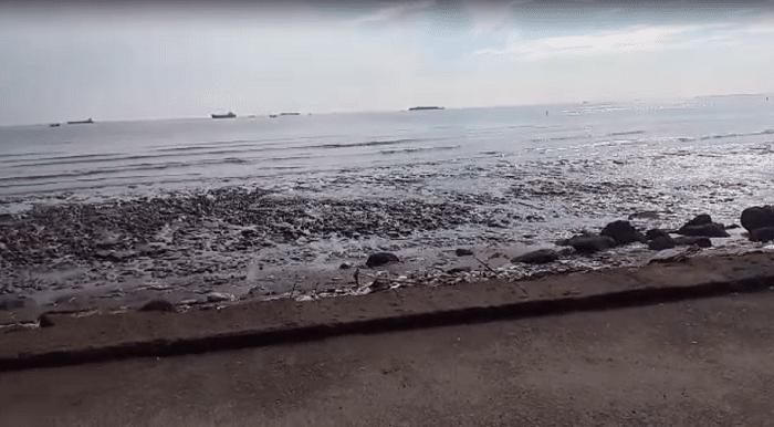 Pagi Ini, Pantai Pelabuhan Cirebon Surut sampai 0,4 Meter, BMKG: Masih Normal, Jangan Khawatir