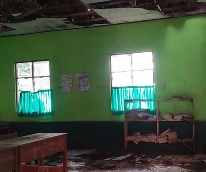 Bukan Tawuran! Sekolah di Kuningan Diserang Kawanan Monyet Liar, Siswa Juga Hendak Diserang