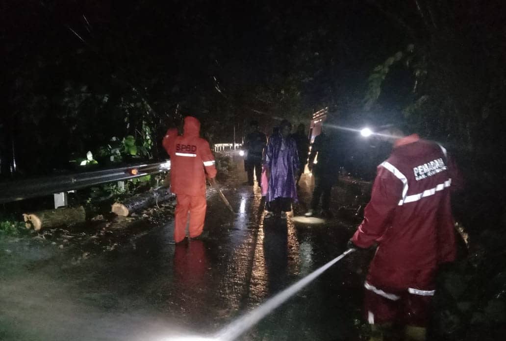 Pohon Tumbang dan Tanah Longsor Terjadi di Jalan Luragung-Cibingbin Kuningan, UPT Damkar: Saat Melintas Harus 