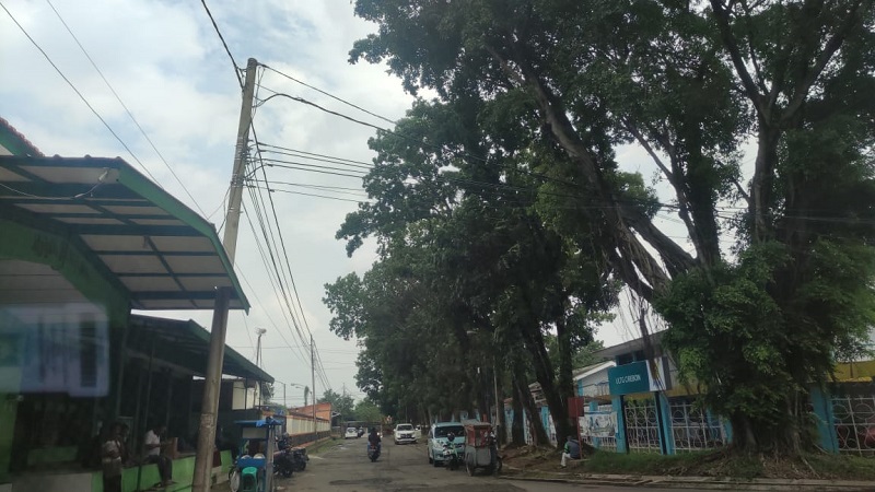 Peringatan Dini BMKG: Wilayah III Cirebon Waspada Angin Kencang sampai 56 Km/Jam