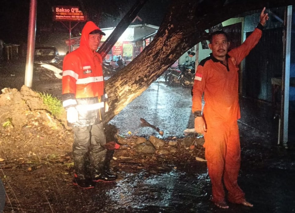 Pohon Tumbang Terjadi di Sejumlah Titik, BPBD Kabupaten Cirebon: Hati-Hati Saat Berkendara