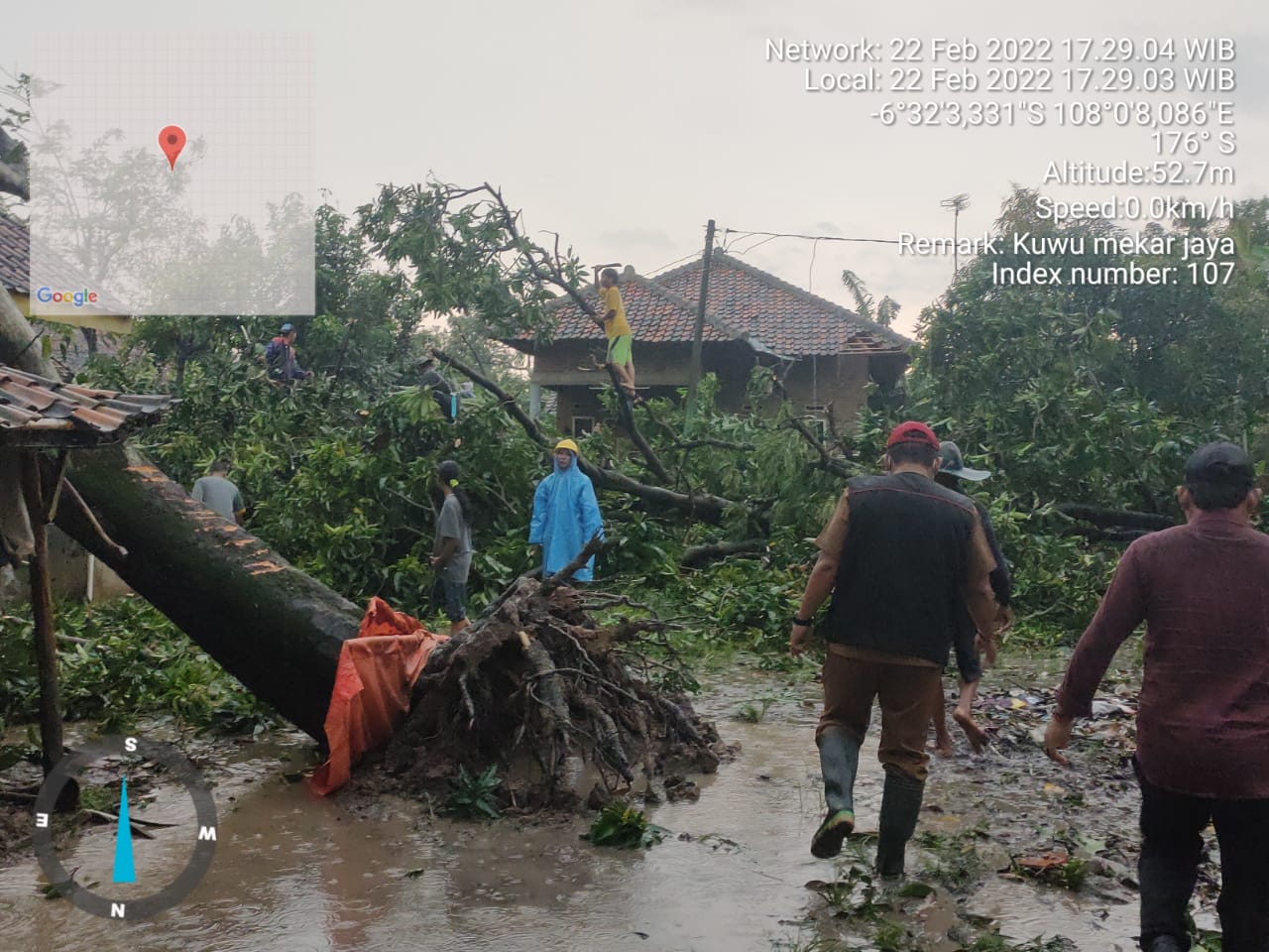 Bencana Puting Beliung di Kabupaten Indramayu, Ratusan Rumah Rusak, Pohon Bertumbangan di Kecamatan Gantar