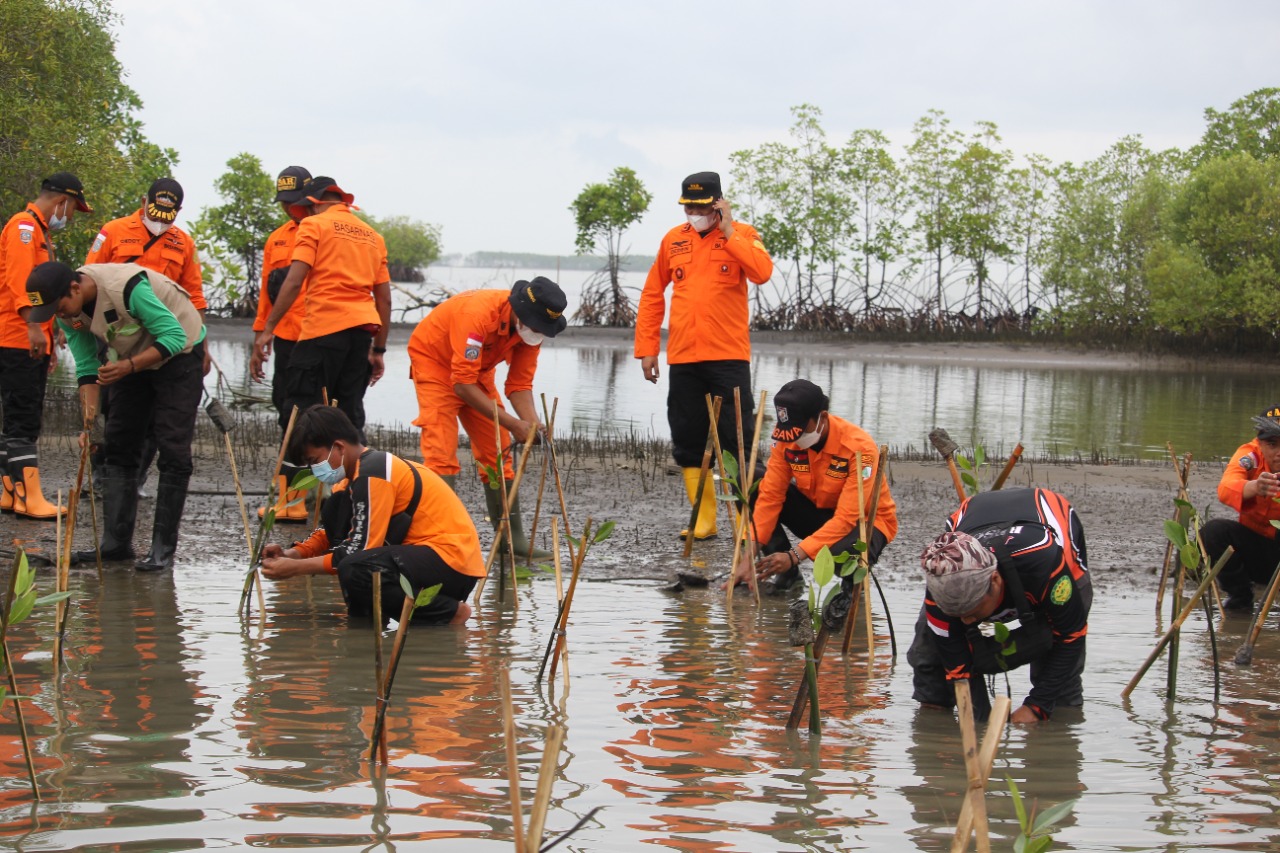 HUT Basarnas ke-50, Tanam Mangrove di Pantai Subang