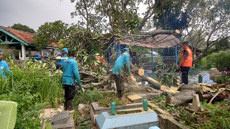 Pohon Tumbang di Pemakaman Pronggol Cirebon, Menimpa Makam