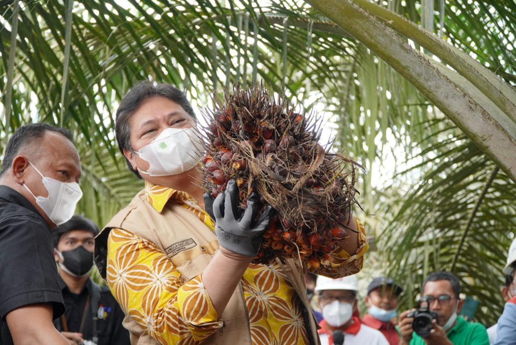 Petani Kelapa Sawit Minta Jabatan Jokowi Diperpanjang, Berikut Alasannya