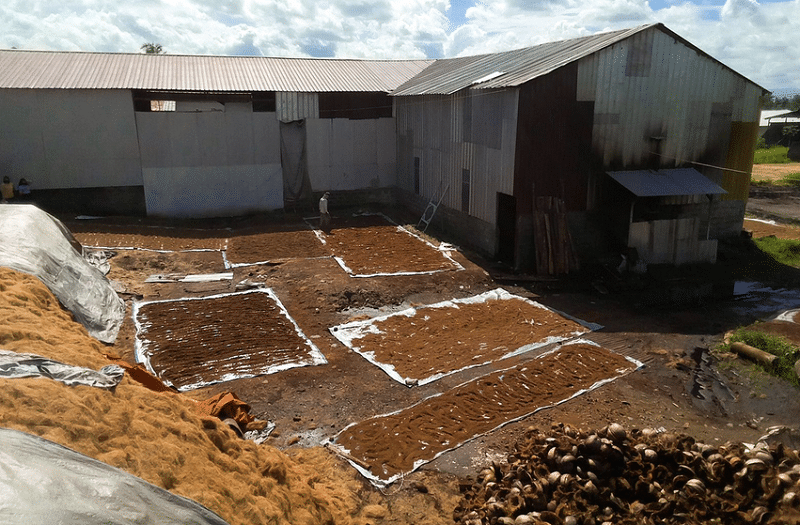 Biomassa, Sabut Kelapa Bisa Jadi Pengganti Batubara