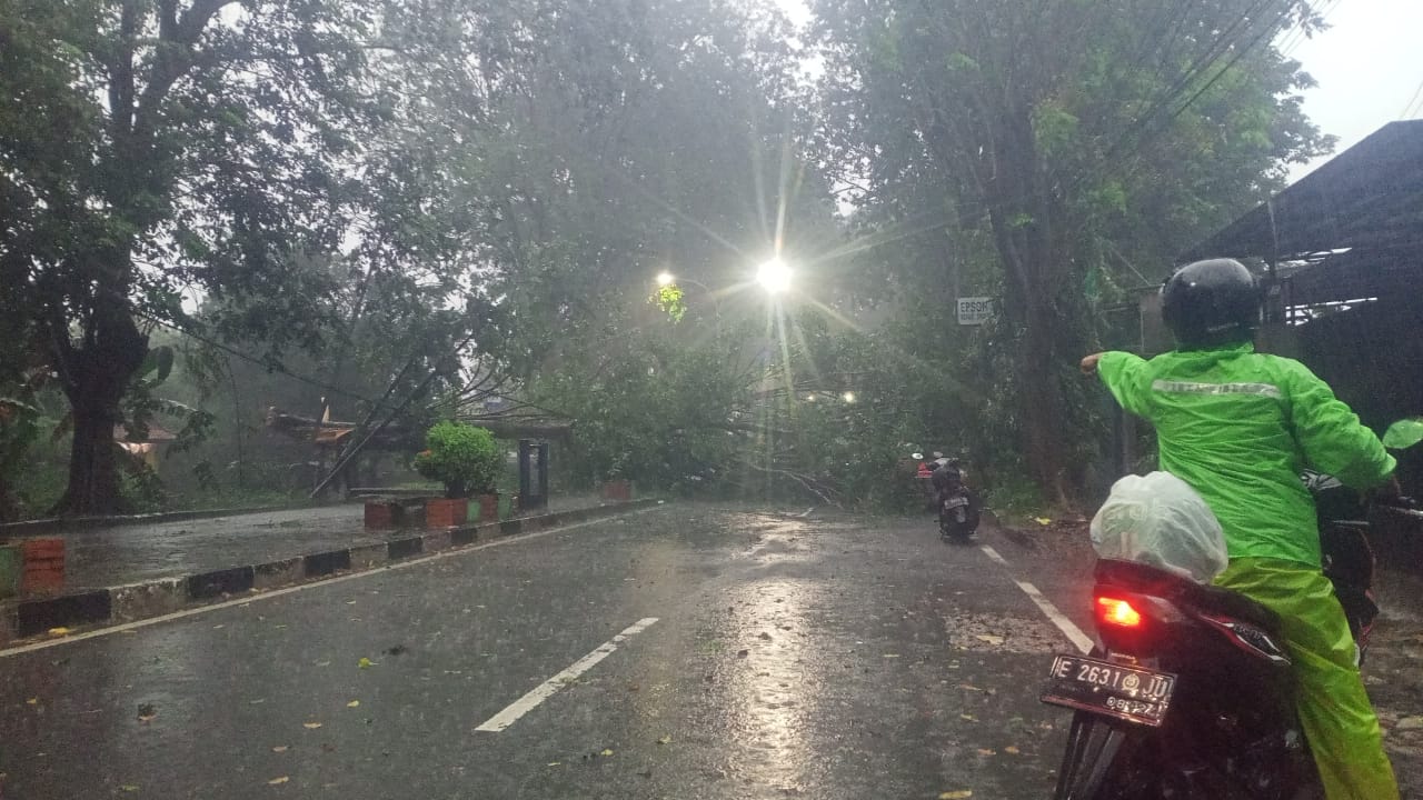 Hujan dan Angin Kencang di Kota Cirebon, Sejumlah Pohon Tumbang
