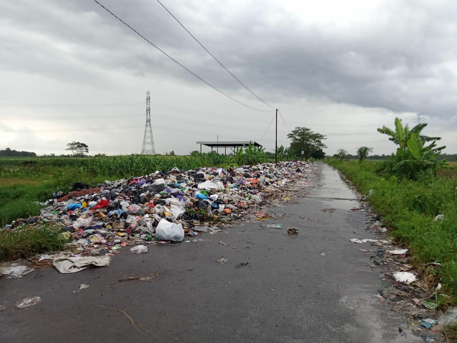 Halo Pak Kuwu, Sampah di Desa Ambit Meluber Hingga ke Jalan