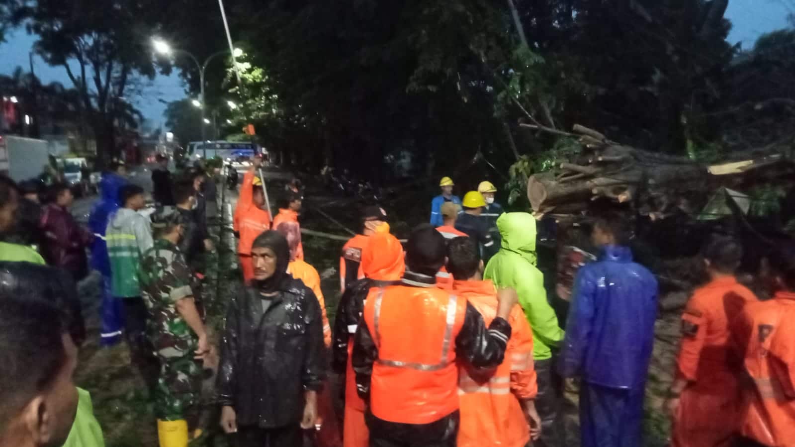 Hujan Deras Disertai Angin Kencang Tumbangkan Pohon di Jalan Cipto, Sekda Kota Cirebon: Rogesan Sudah Kita Lak
