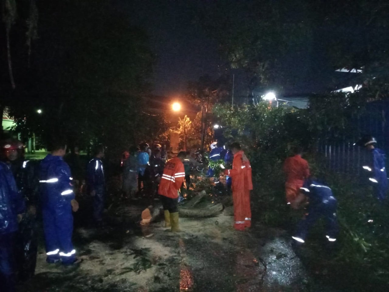 Pohon Tumbang Juga Terjadi di Jalan Karang Jalak Kota Cirebon, Tidak Ada Korban Jiwa