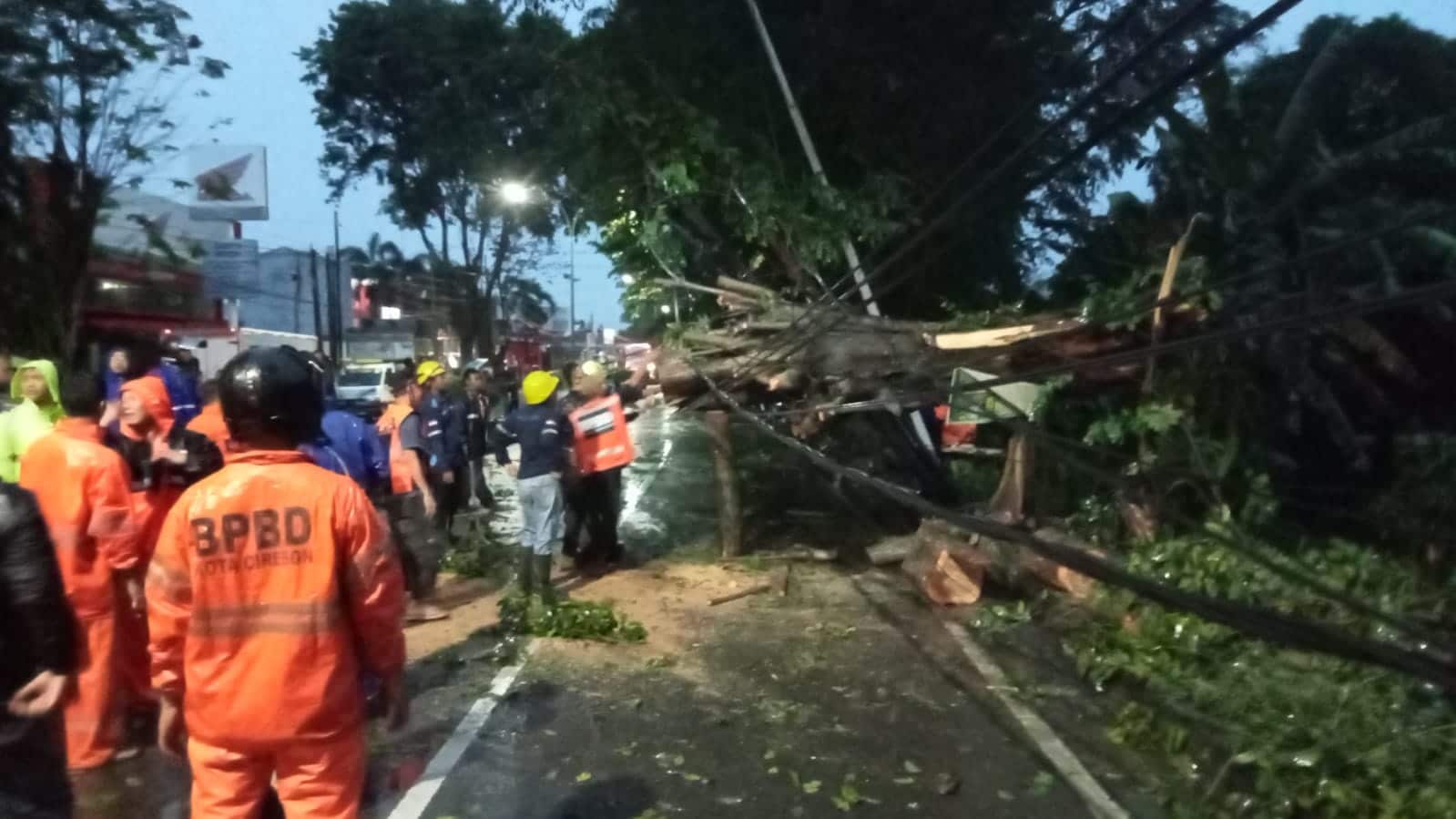 Pohon Tumbang di Kota Cirebon, Menimpa Motor dan Mobil