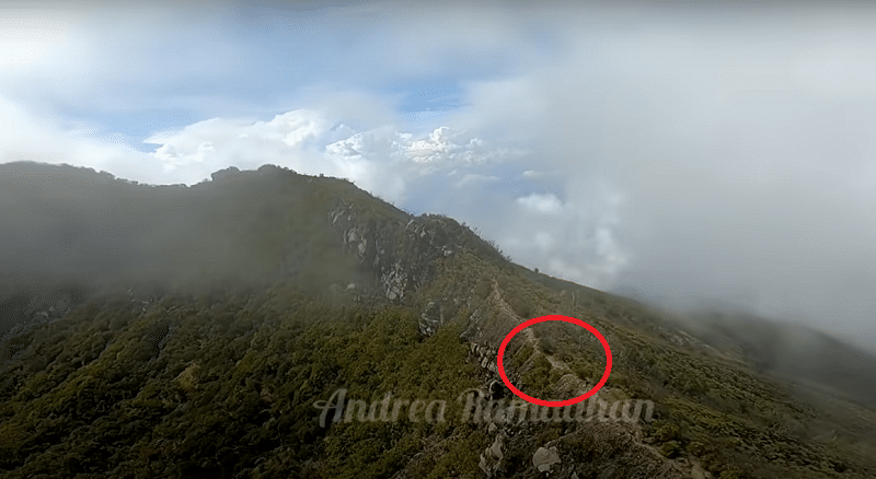 Macan Tutul Slamet Ramadhan Terekam Drone di Puncak Gunung Ciremai, Lari di Pinggiran Kawah