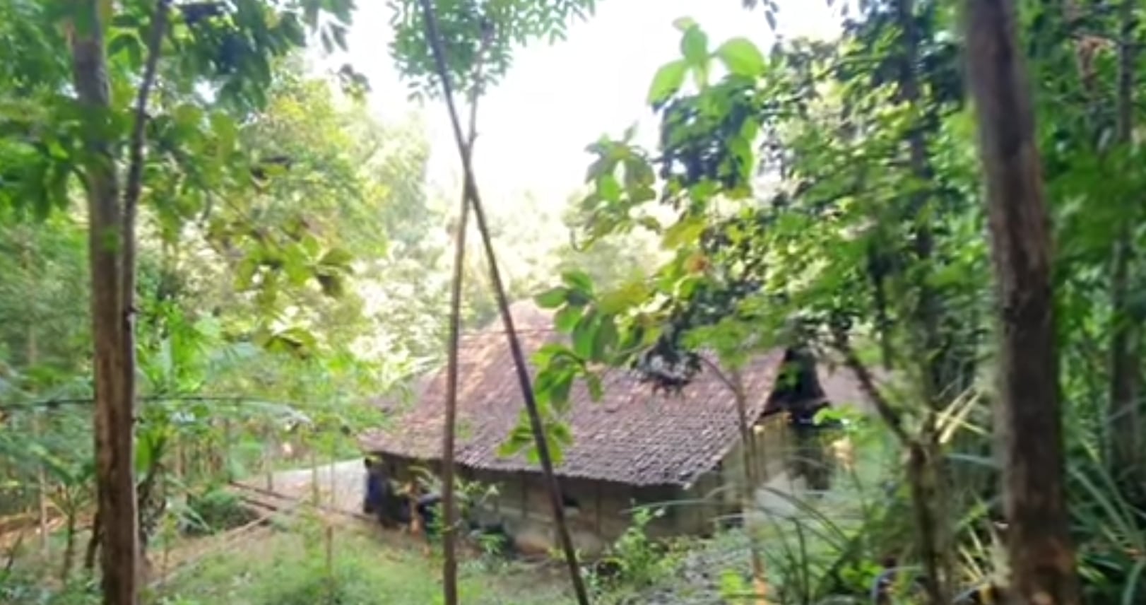 Rumah KKN Desa Penari Dijual setelah Dipakai Syuting, Pemiliknya Ketakutan