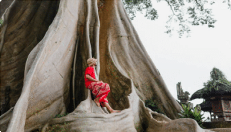 Usia Pohon Keramat 700 Tahun Jadi Lokasi Pemotretan Wanita Bule Bugil