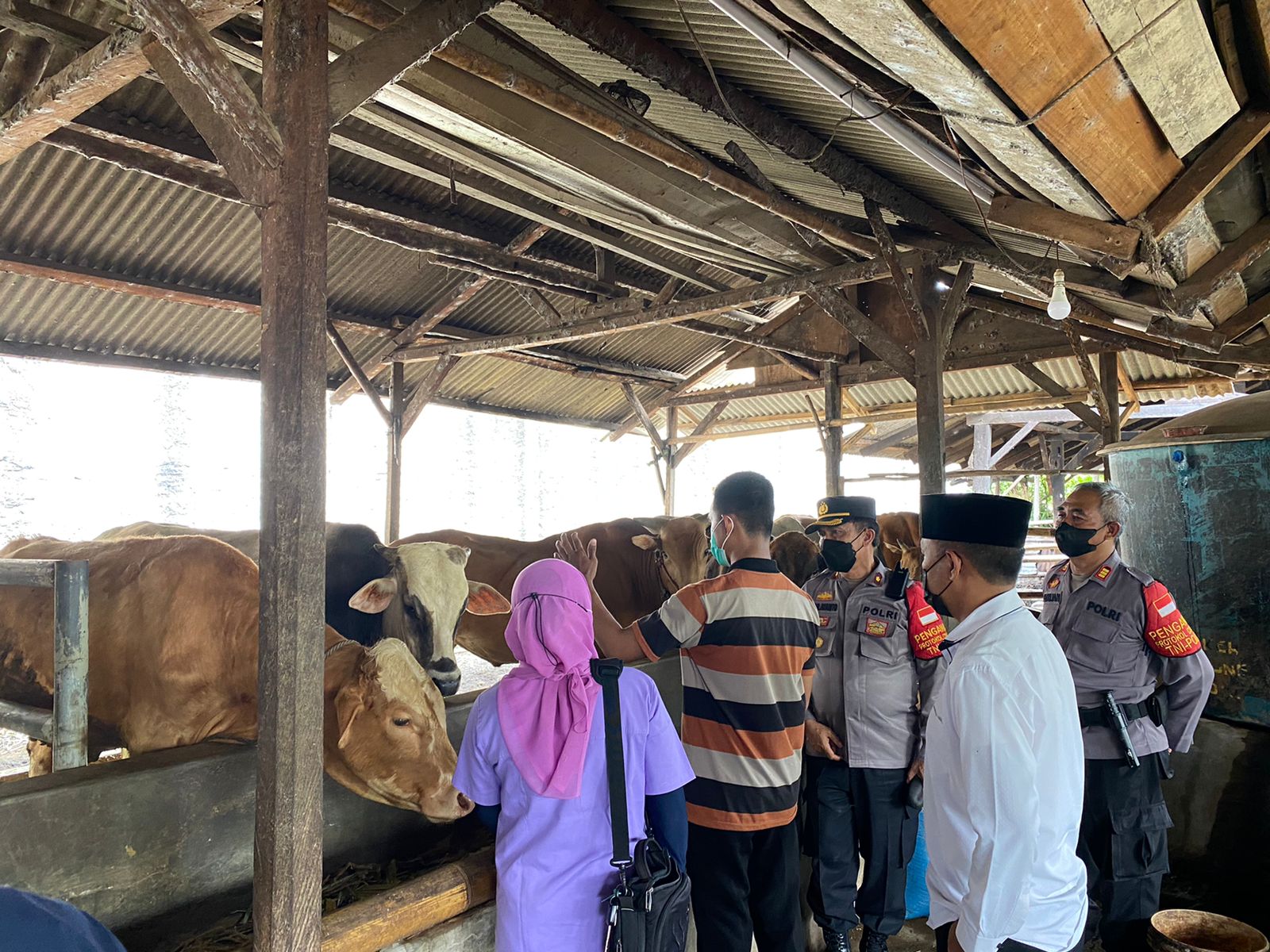 Polisi dan Puskeswan Sidak ke Peternakan Hewan Ternak, Ada Apa?