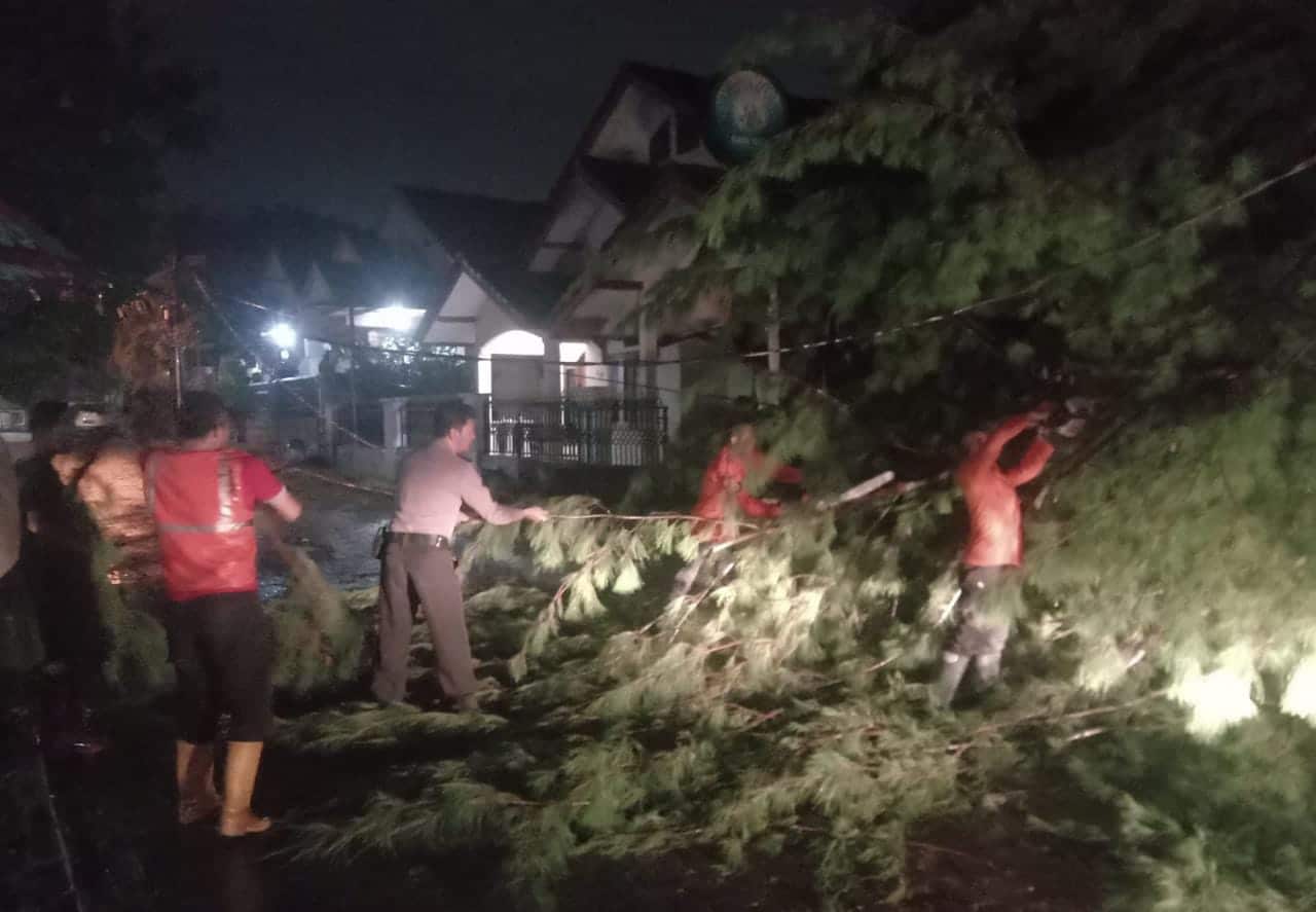Kota Cirebon Diguyur Hujan dan Angin Kencang, Pohon di Perumahan GSP Tumbang