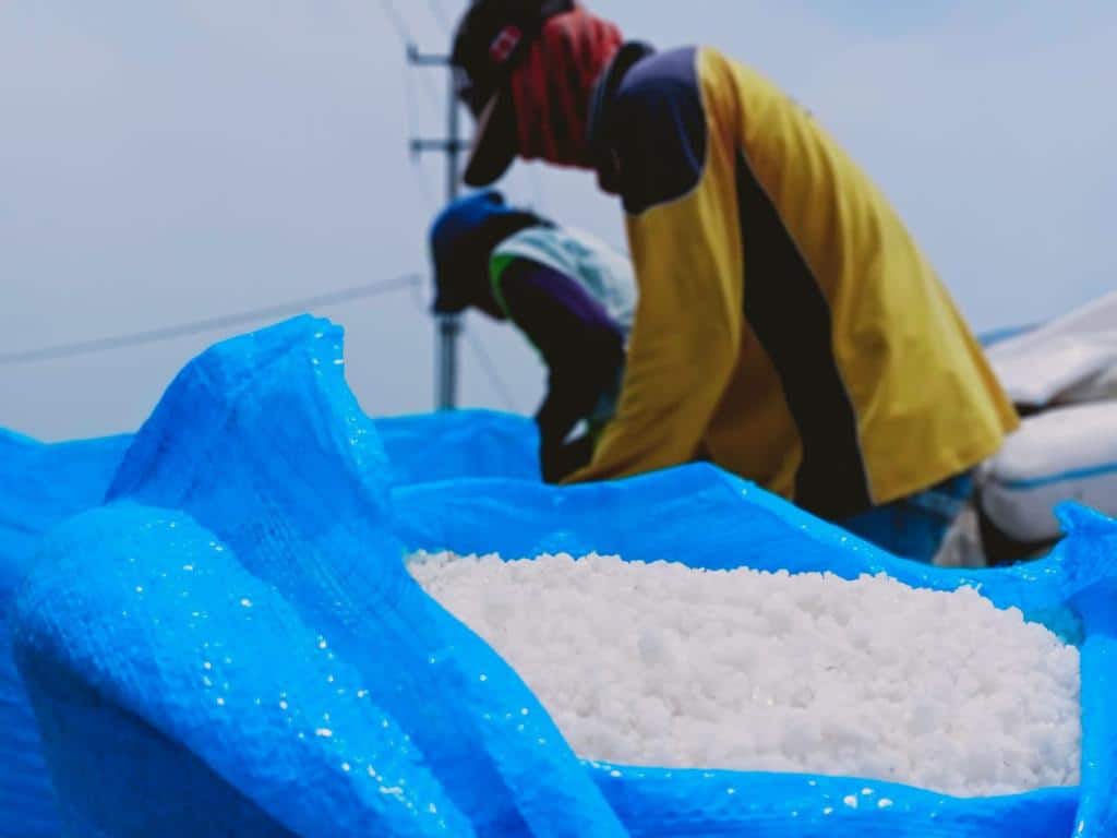 Petani Senang, Harga Garam Melonjak